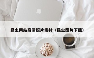 济南昆虫网站高清照片素材（昆虫图片下载）